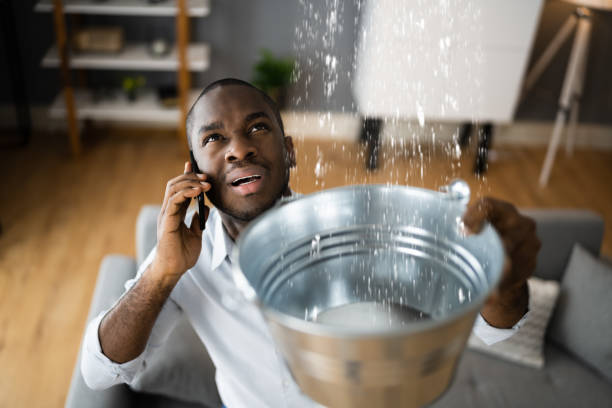 Best Water damage cleanup near me  in Ontonagon, MI