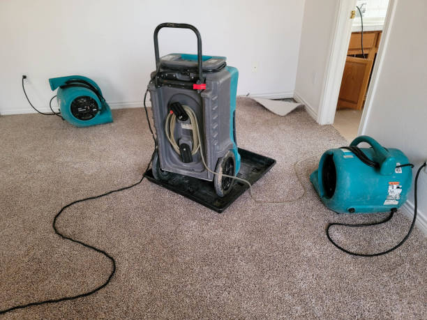Best Commercial water damage restoration  in Ontonagon, MI