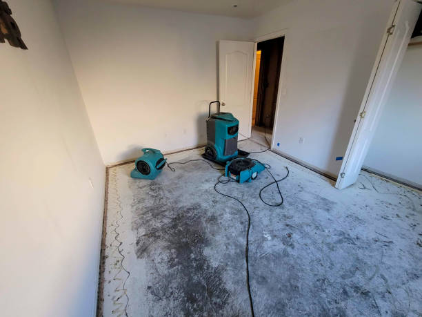  Ontonagon, MI Water damage restoration Pros