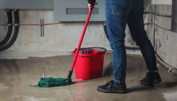 Best Flood restoration services  in Ontonagon, MI