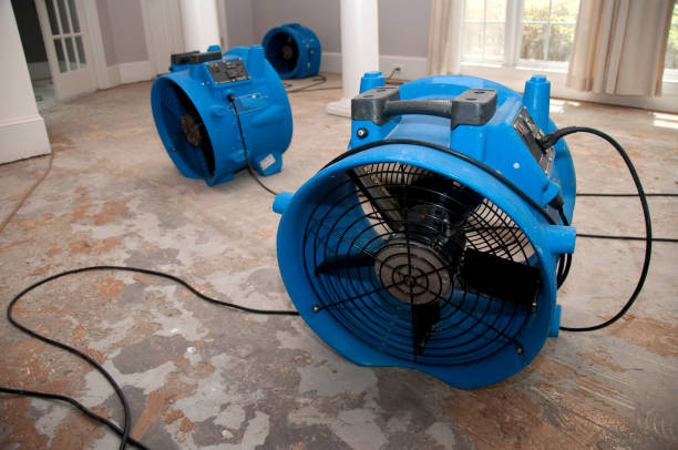 Professional Water damage restoration in Ontonagon, MI