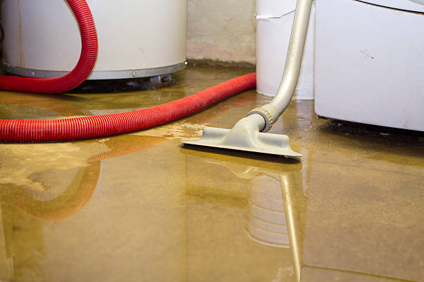 Carpet water damage restoration in Ontonagon, MI