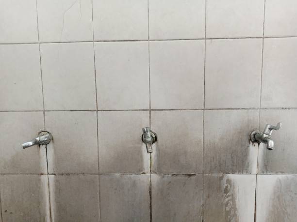 Best Ceiling water damage repair  in Ontonagon, MI