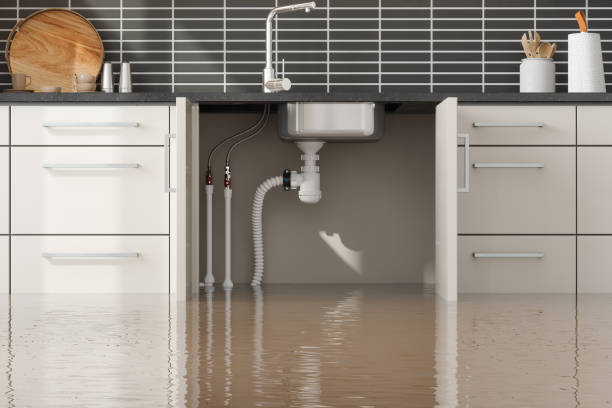 Best Flooded house restoration  in Ontonagon, MI