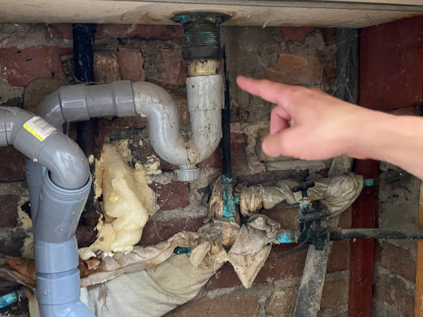 Best Water damage repair service  in Ontonagon, MI