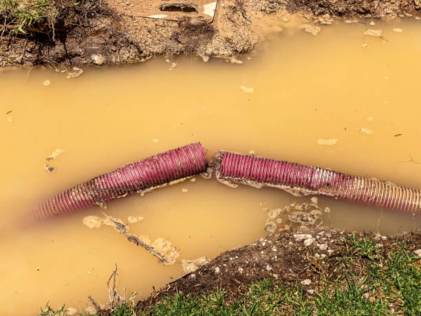 Best Water damage restoration near me  in Ontonagon, MI