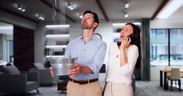 Best Mold removal after water damage  in Ontonagon, MI