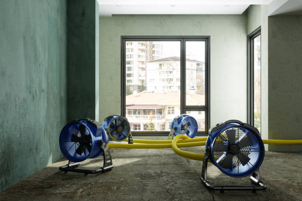 Best Water damage restoration near me  in Ontonagon, MI